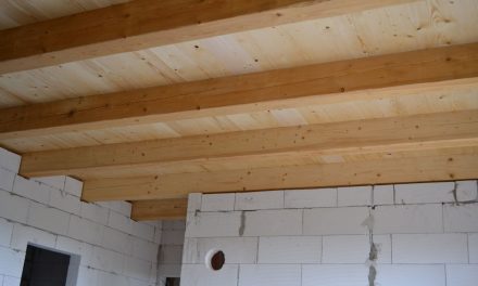 Dřevěný strop na chalupě